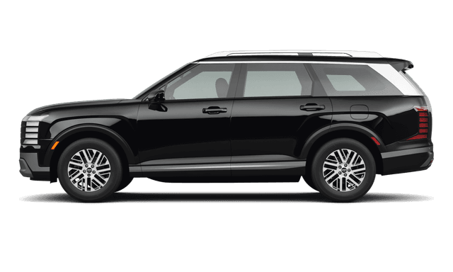 Hyundai Palisade - Side view Hyundai Palisade - Side view